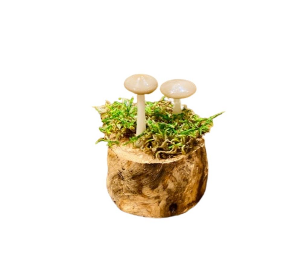 Handblown glass mushrooms have a stem and cap are made with borosilicate glass, on real wooden log with moss.